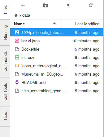 A screenshot of the primary JupyterLab sidebar showing a variety of files in the file browser.