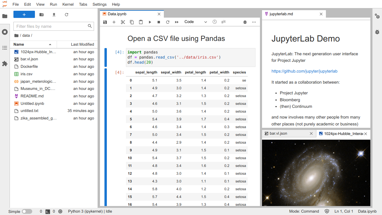 A screenshot of the JupyterLab interface. The main work area is in the middle section of the interface. There is also a left sidebar and a top menu bar.