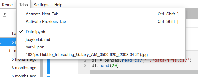 The tabs menu in JupyterLab with a list of sample documents.