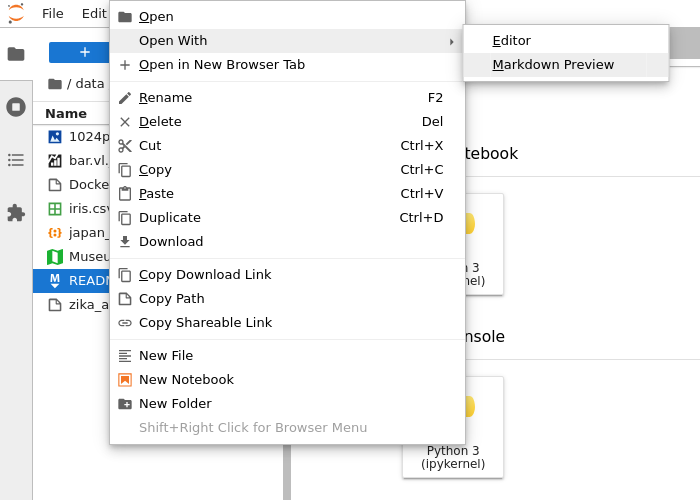 ../_images/file-formats-open-with.png