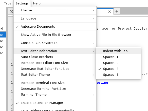 ../_images/file-editor-settings.png
