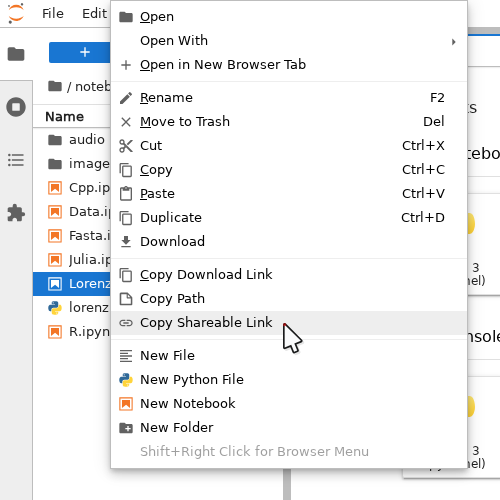 The Copy Shareable Link option in the context menu of a file. Copy Shareable Link is the last entry on the list.