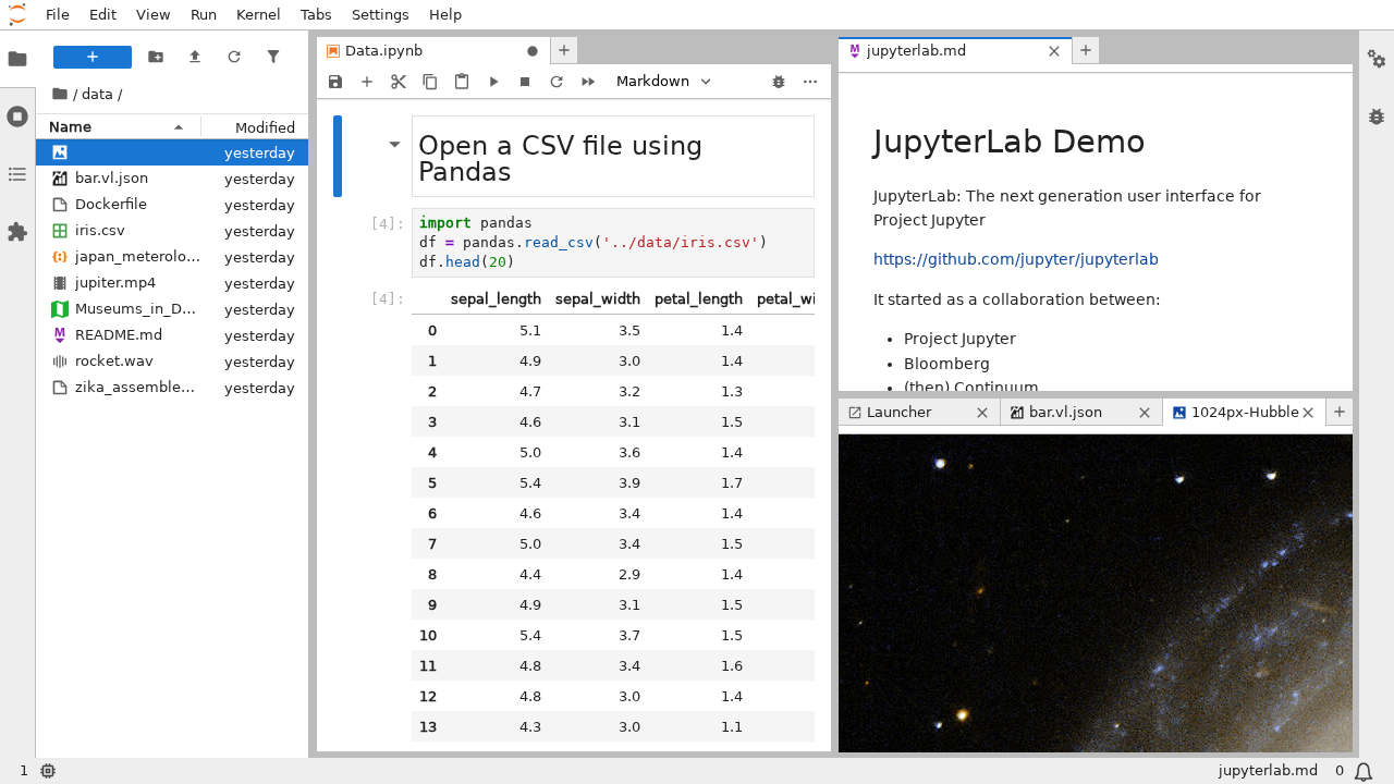 A screenshot of the default JupyterLab interface. The main work area is in the middle. There is also a left sidebar and a top menu bar.