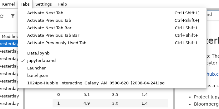 The tabs menu in JupyterLab with a list of sample documents.