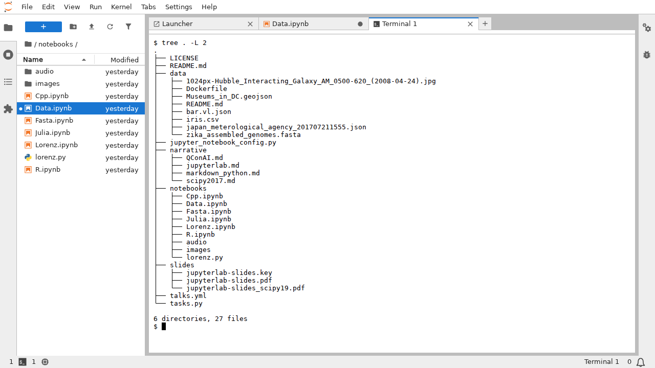 JupyterLab with an open terminal in the main document area.