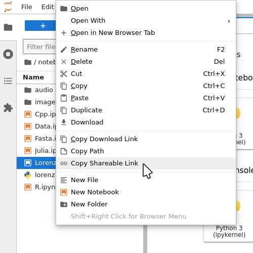 A screenshot showing the Copy Shareable Link option in the context menu opened over a file, which is the last entry on the list.