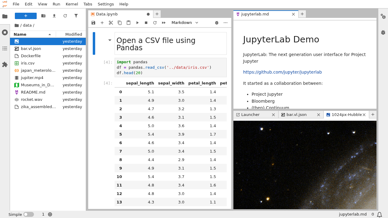 A screenshot of the default JupyterLab interface. The main work area is in the middle. There is also a left sidebar and a top menu bar.
