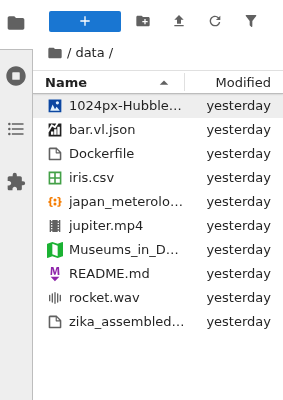 The left JupyterLab sidebar showing a variety of files in the file browser.