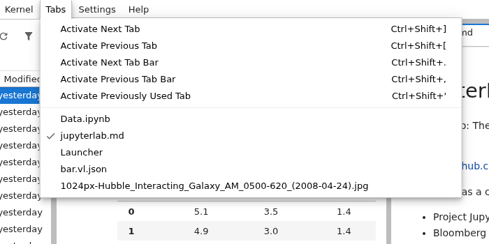 The tabs menu in JupyterLab with a list of sample documents.